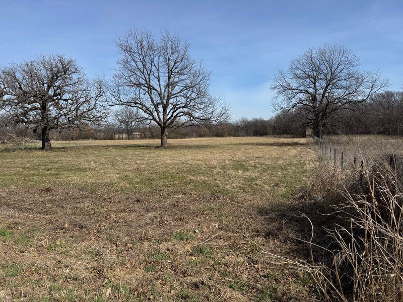 Lot 14 County Road 1346