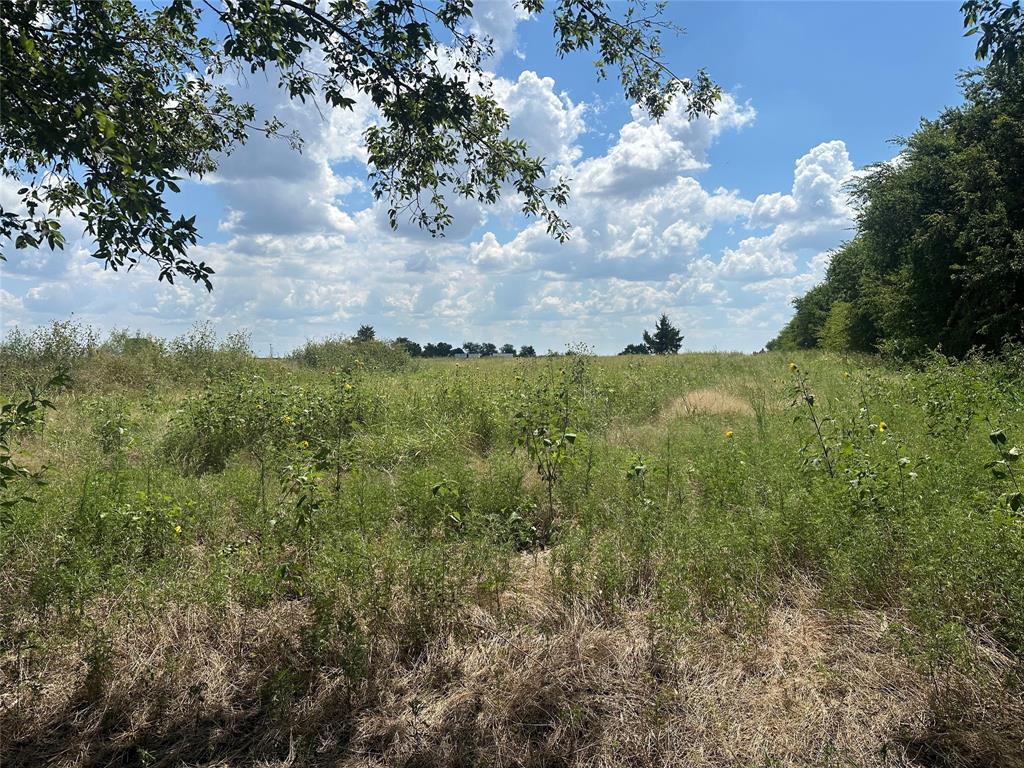Lot 4 Rutledge Road
