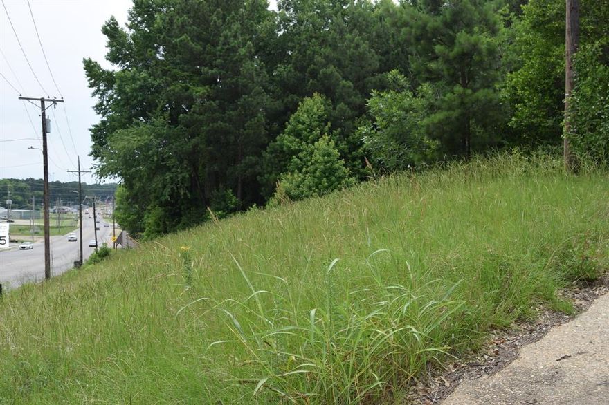 Great location located right down from the Webster Parish Courthouse.
This would make a perfect place for a Government Building or any type of commercial building. 
There is approx. 2.33 acres with lots of potential.
Please call today to get more information on this property!!