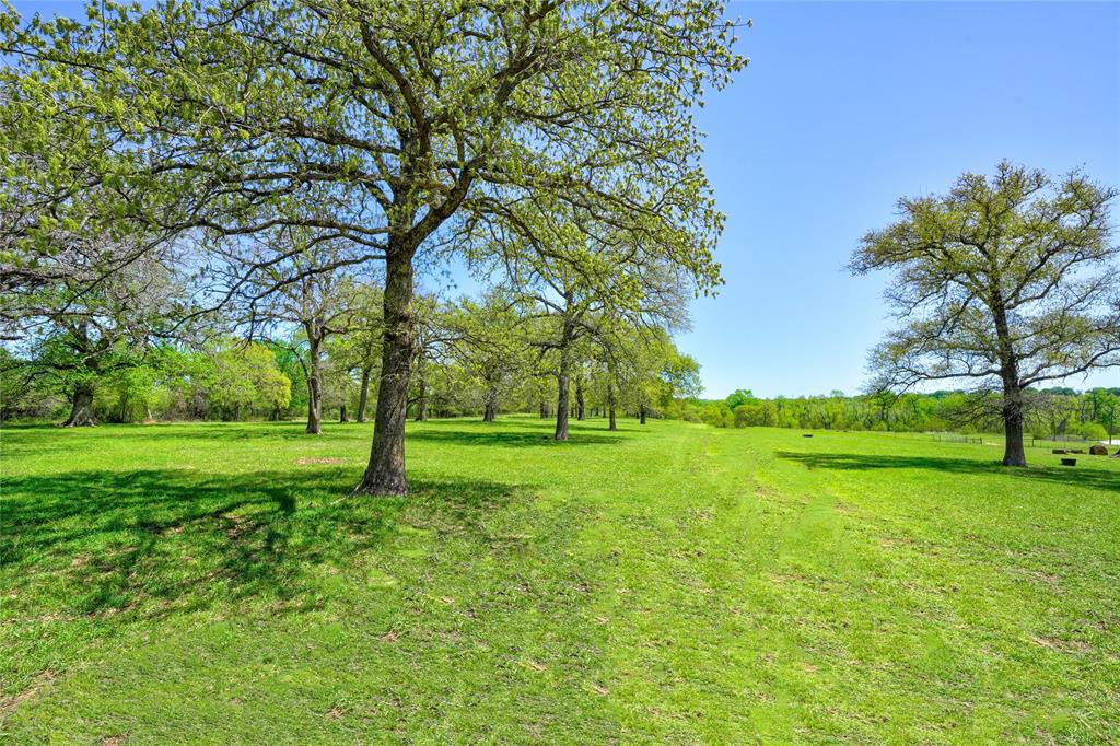 WILCOX, JACOB SURVEY - Land