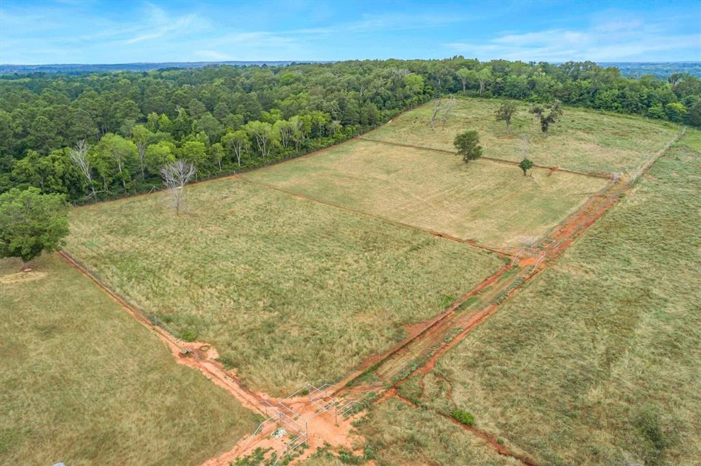 Jose Pineda East Four League G - Farm