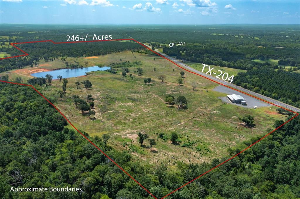 Jose Pineda East Four League G - Farm