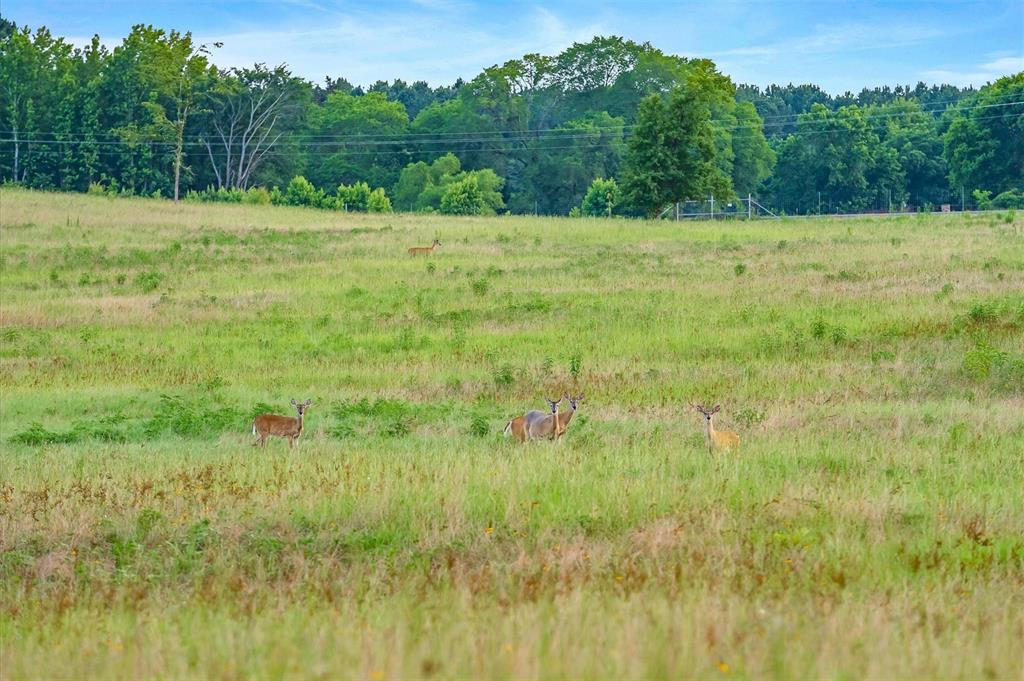Jose Pineda East Four League G - Farm