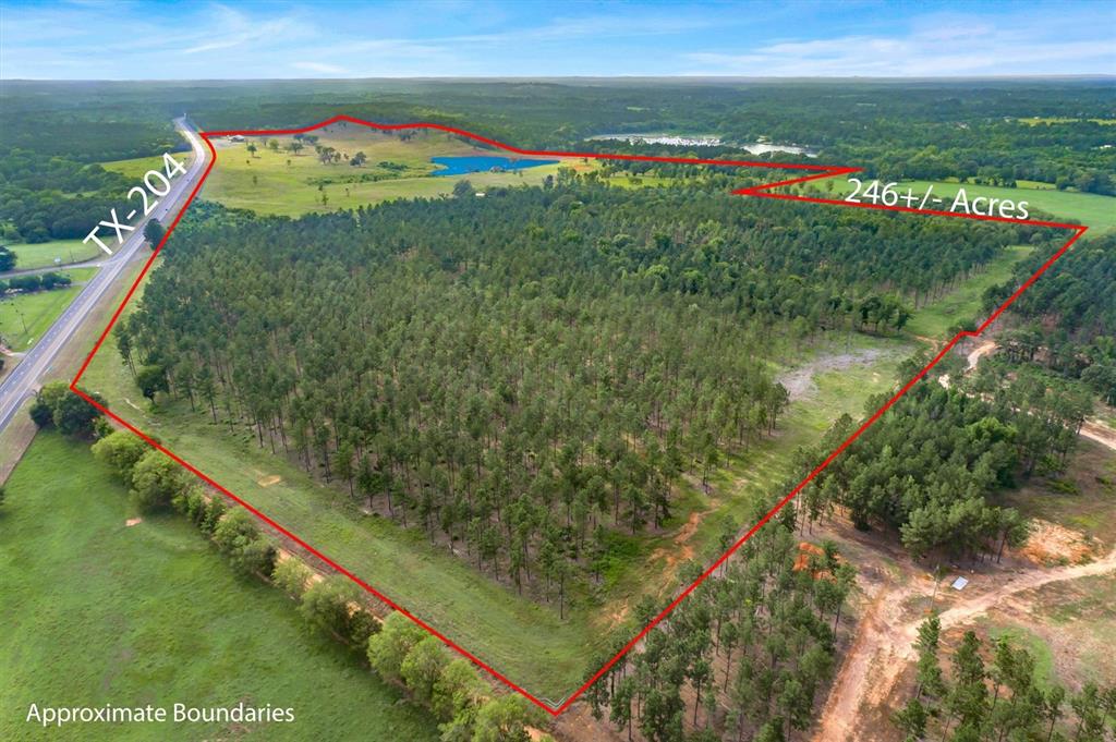 Jose Pineda East Four League G - Farm