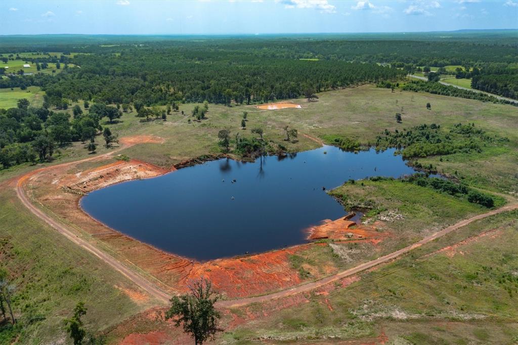 Jose Pineda East Four League G - Farm
