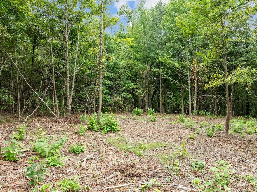 Prime Hunting & Recreational Property Between Gilmer & Pittsburg, TX Discover your own slice of East Texas paradise with this stunning, heavily wooded 17-acre property conveniently located between Gilmer and Pittsburg. This secluded and peaceful tract offers a diverse landscape ideal for multiple uses, including hunting, recreation, or even a future homesite. With one scenic creek meandering through the land, the natural beauty is unmatched, providing breathtaking views and an excellent water source for wildlife. The property features a well-established trail system, making it easy to explore and navigate whether you're hiking, riding ATVs, or setting up for the perfect hunt. Only 10 miles from Lake O' the Pines and 14 miles from Lake Bob Sandlin, this property is a dream for outdoor enthusiasts who love fishing, boating, and water recreation. If you're looking for a quiet, secluded getaway with endless possibilities, this East Texas retreat is a must-see!