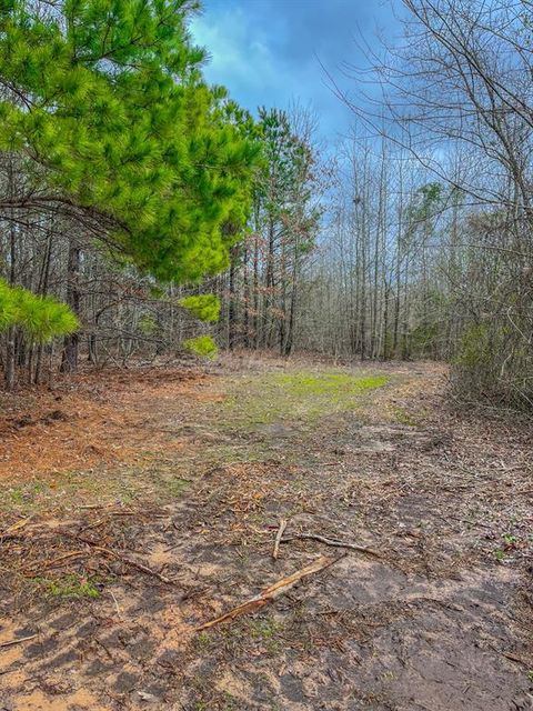 00 Mistletoe Road Gilmer TX 75644