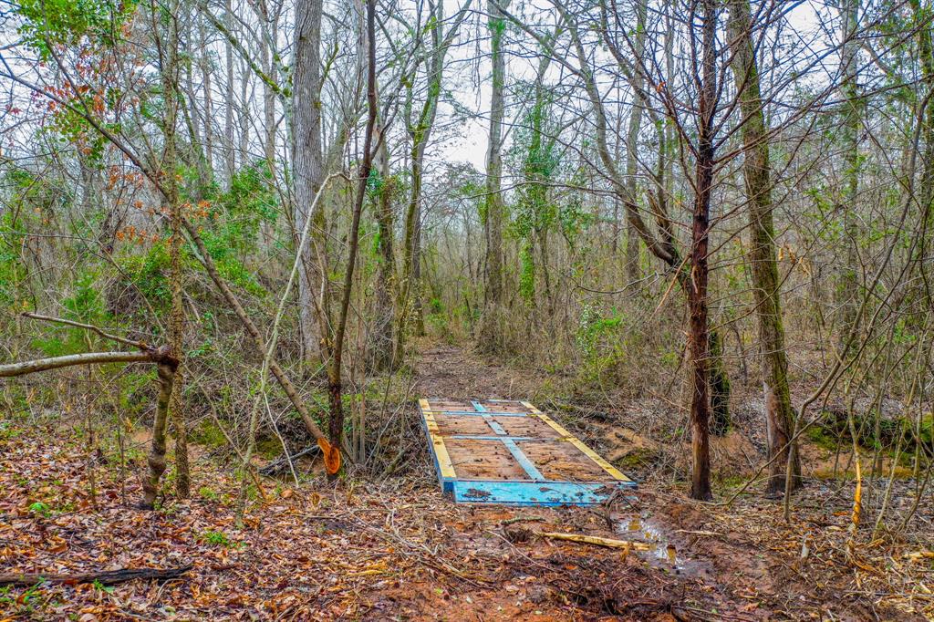 00 Mistletoe Road