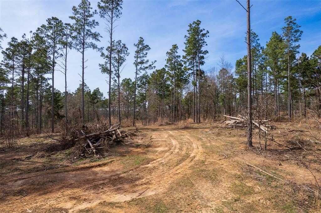 130 SE County Road 4415