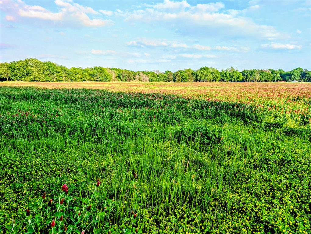 907 Welch School Road