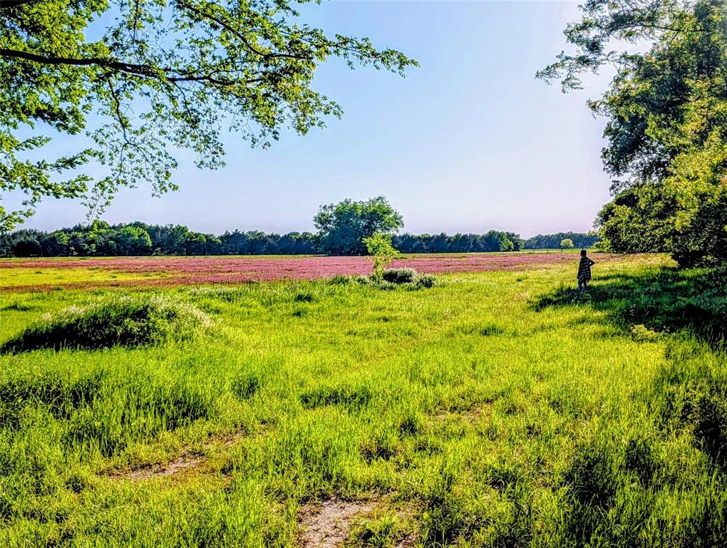 907 Welch School Road