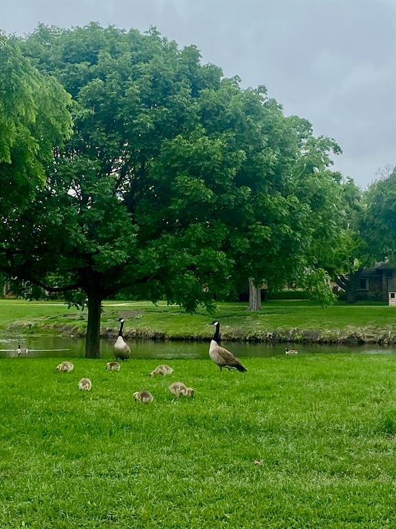 Parkway Village Sec One - Residential