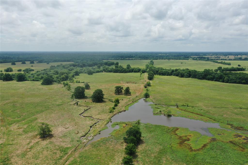 John B Goodman Surv Abs #408 - Farm