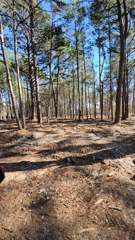 Hwy 31 Comm Park - Land