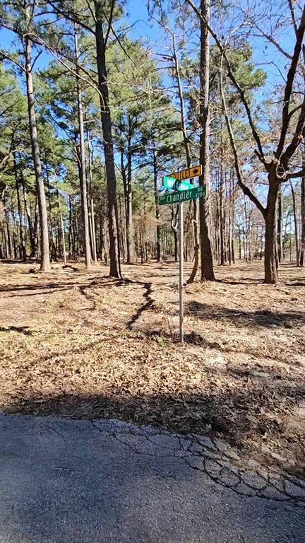 Hwy 31 Comm Park - Land