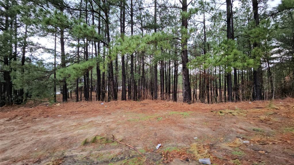 Hwy 31 Comm Park - Land