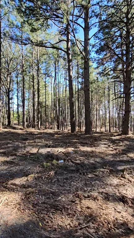 Hwy 31 Comm Park - Land