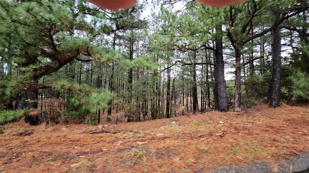 Hwy 31 Comm Park - Land