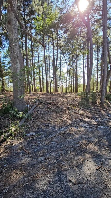 Hwy 31 Comm Park - Land