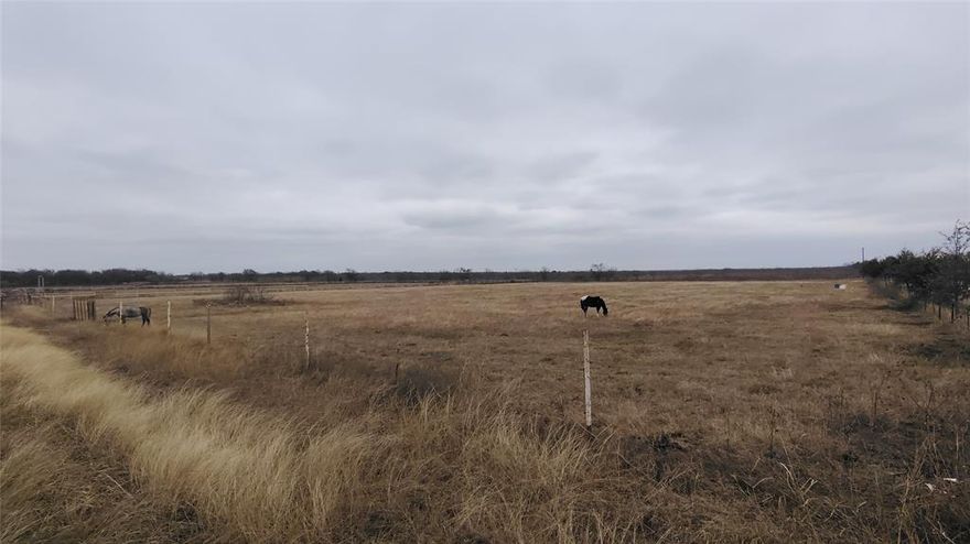 This beautiful lot is located in Corsicana, about an hour South of Dallas. This lot boasts enough space for you to build your dream home and have up to 12 chickens, 1 pig, 2 sheep or goats per acre, and 1 large animal per 2.5 acres. Here you will find country living with city amenities nearby. Deed restrictions uphold the integrity of this neighborhood, but allow for small homestead living if desired. Mobile homes are not permitted and construction requires site-built homes with a minimum of 1500 sq. ft. Buyer and buyer's agent to verify all information.