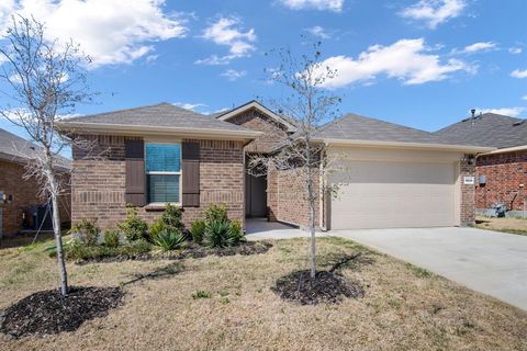 16649 Friesland Lane, Justin, TX 76247 - #: 20877564