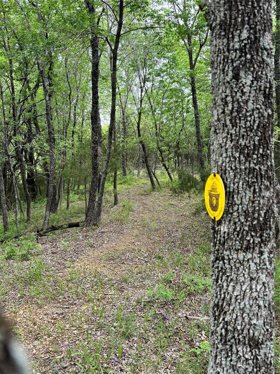 Jm Copp Surv Abs #290 - Land