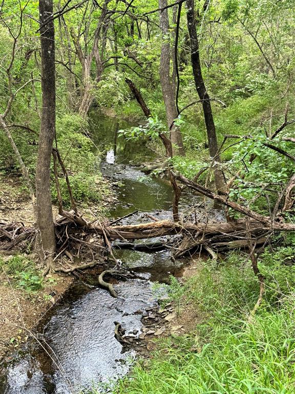 Jm Copp Surv Abs #290 - Land