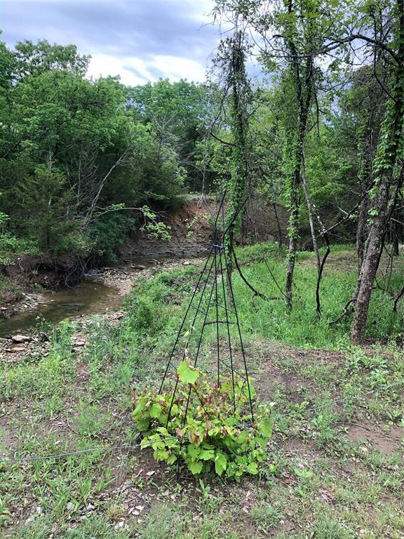 Jm Copp Surv Abs #290 - Land