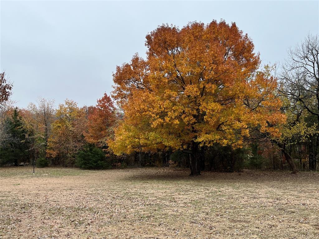 Jm Copp Surv Abs #290 - Land