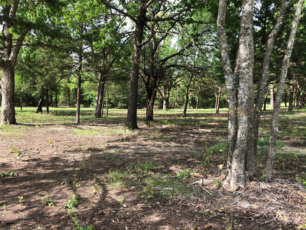 Jm Copp Surv Abs #290 - Land