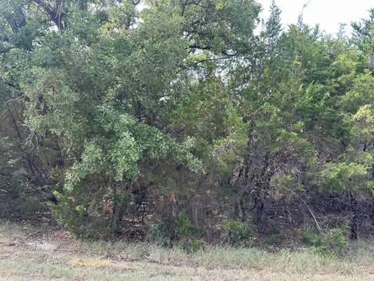18040 SOUTHHILL DR, WHITNEY, TX 76692 - Image b000cf81b8a53c2ca6b082a896e05ec0/3092520704