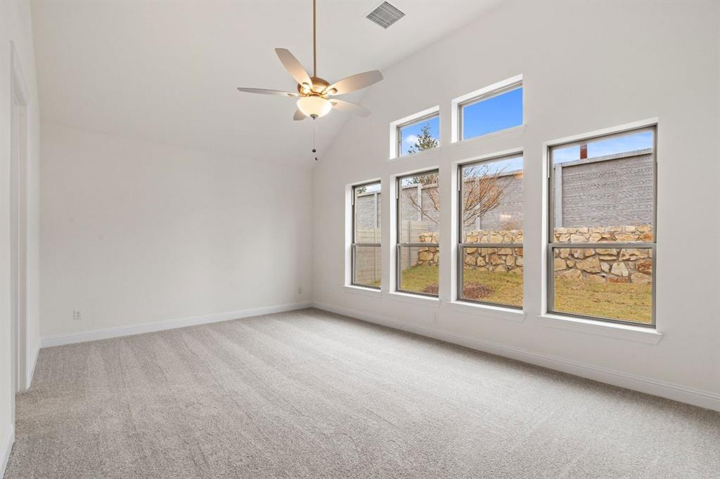 Painted Tree - Residential