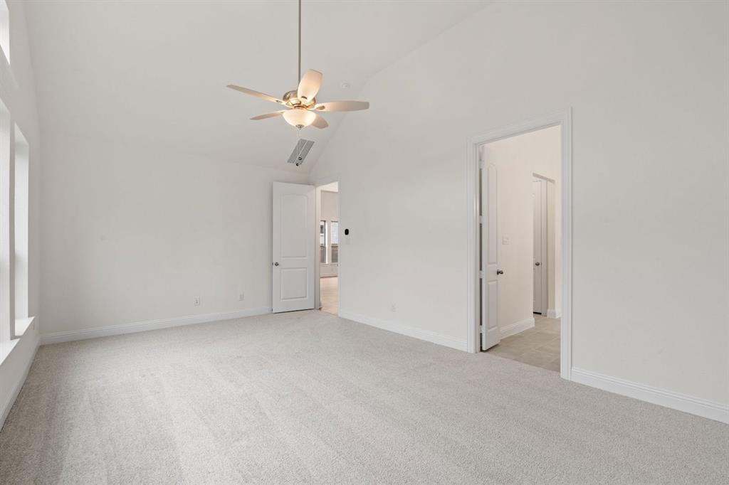 Painted Tree - Residential