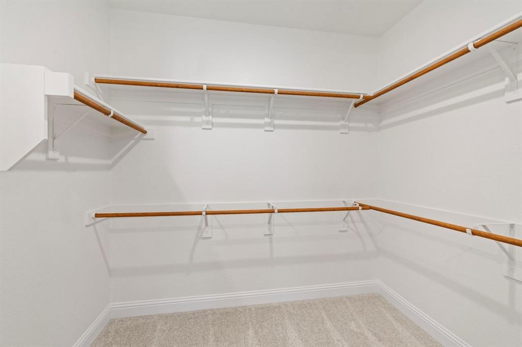 Painted Tree - Residential