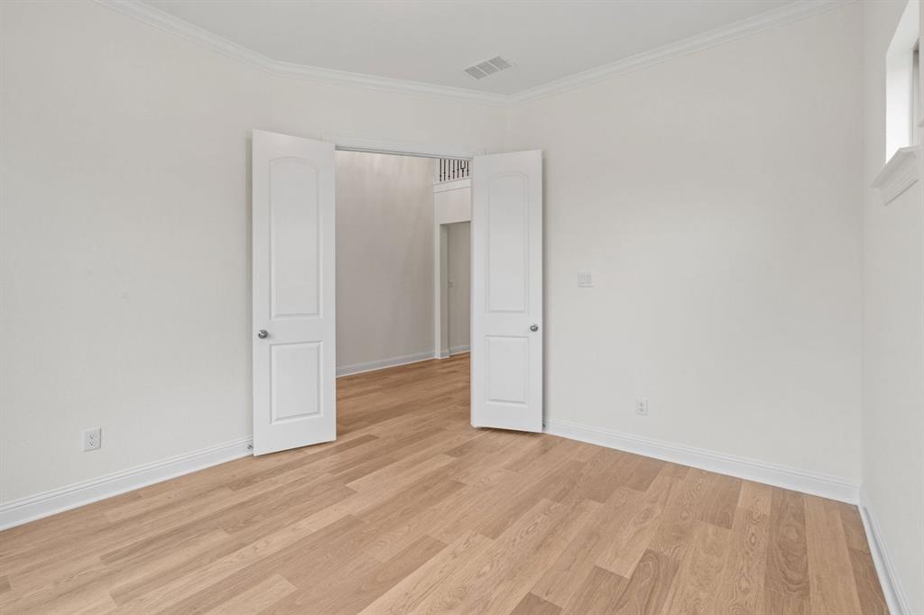 Painted Tree - Residential