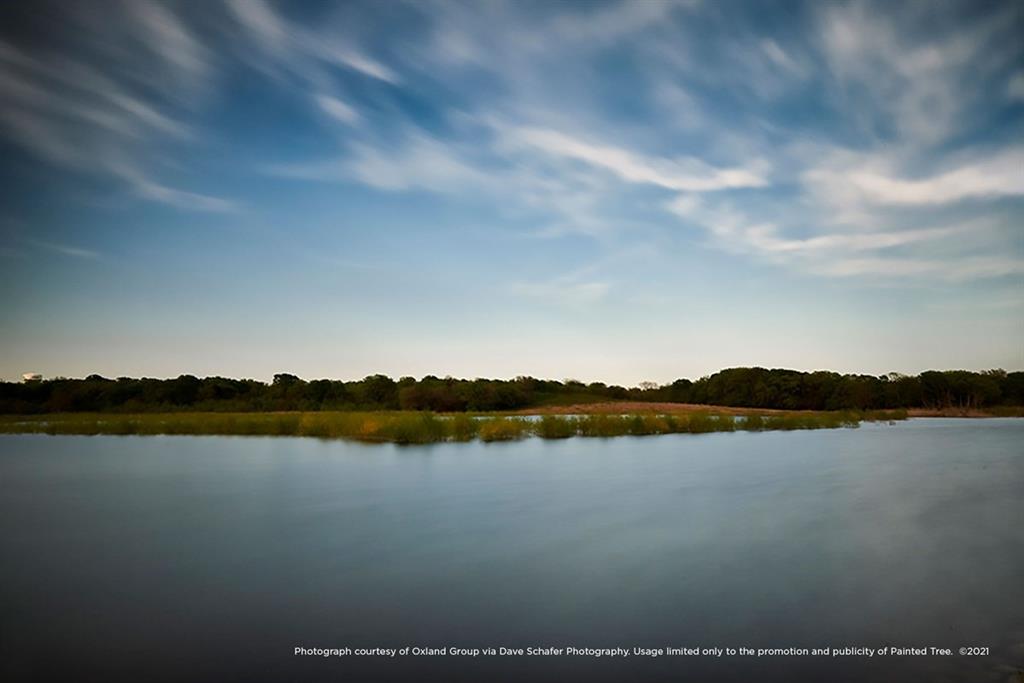 Painted Tree - Residential