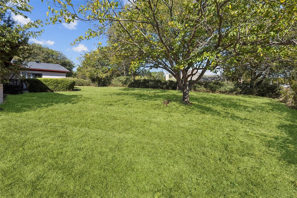 Alta Mesa Park - Residential