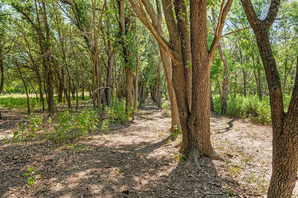 Baker Ruth Survey - Land