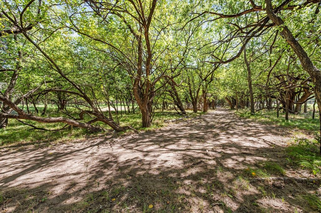 Baker Ruth Survey - Land