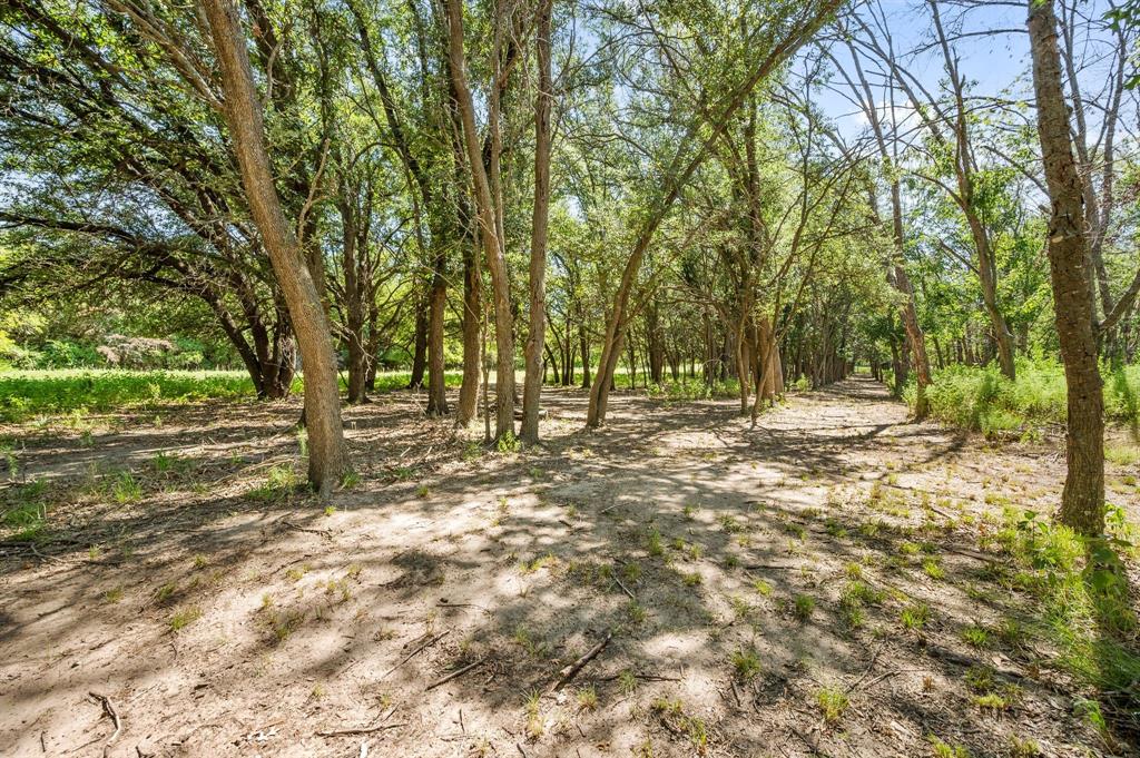 Baker Ruth Survey - Land