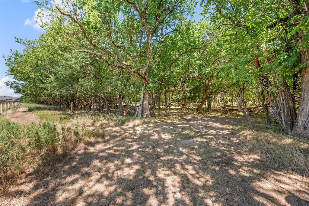 Baker Ruth Survey - Land