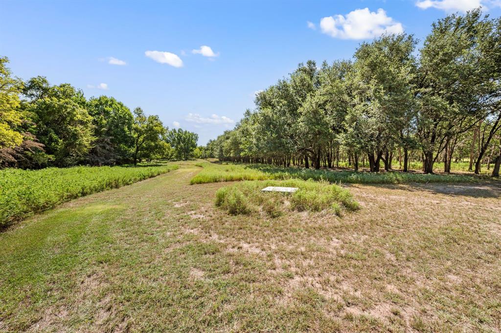 Baker Ruth Survey - Land