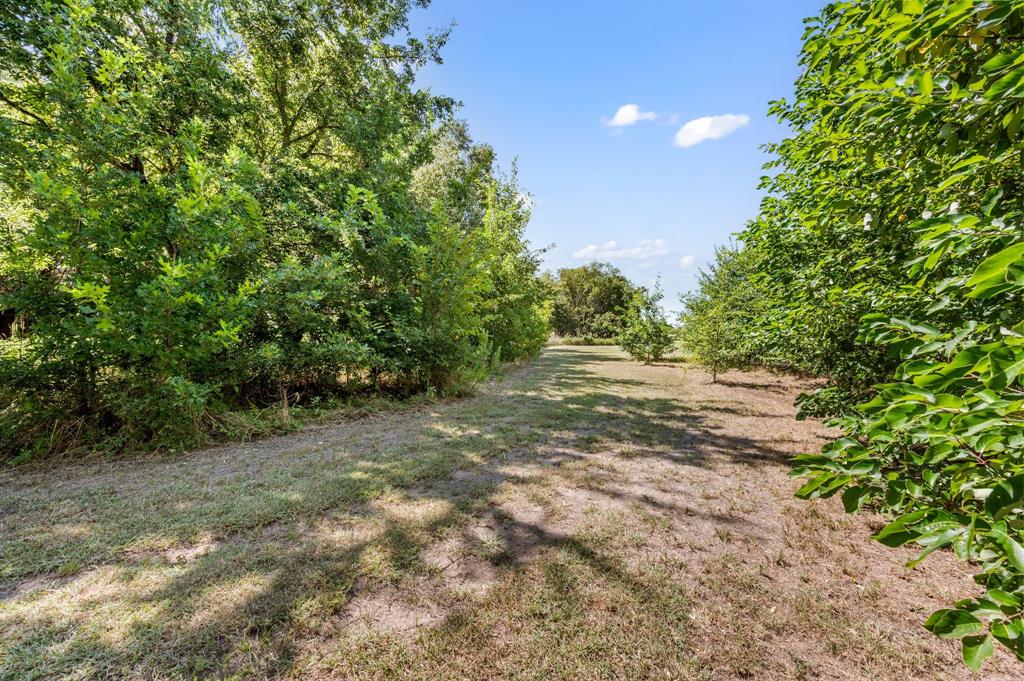 Baker Ruth Survey - Land