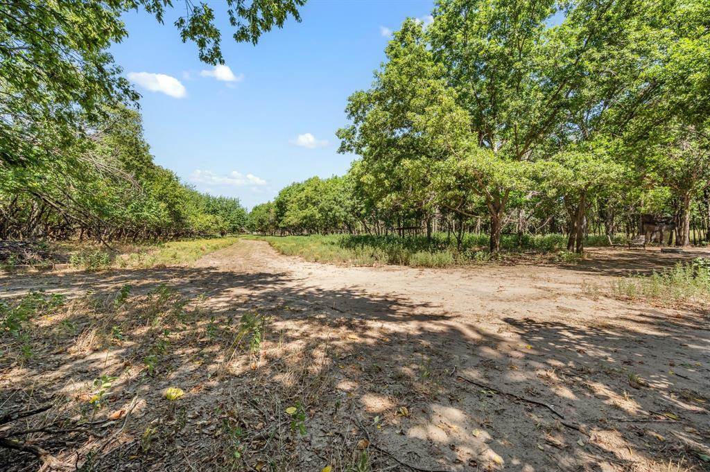 Baker Ruth Survey - Land