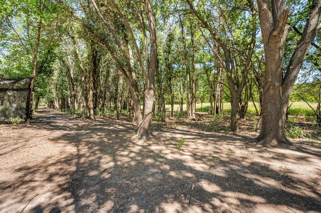 Baker Ruth Survey - Land