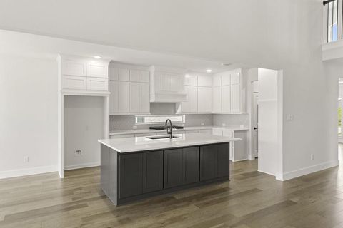 13709 Benimodo Drive Little Elm TX 75068