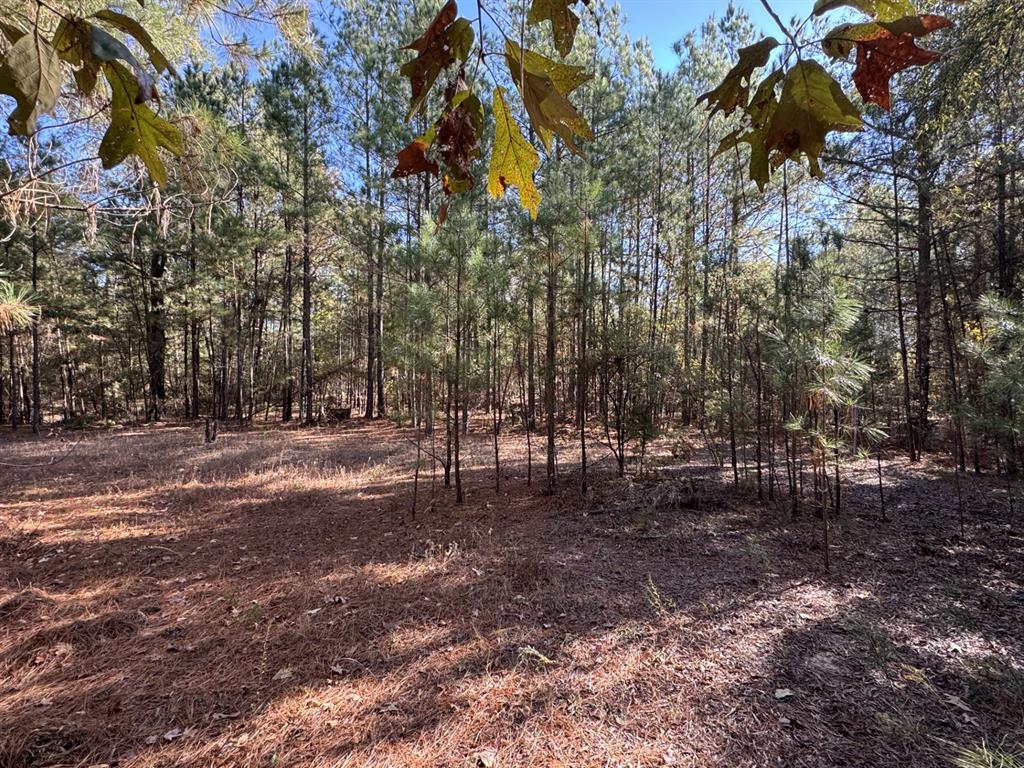 A0195 CANADAY, HENRY M - Land