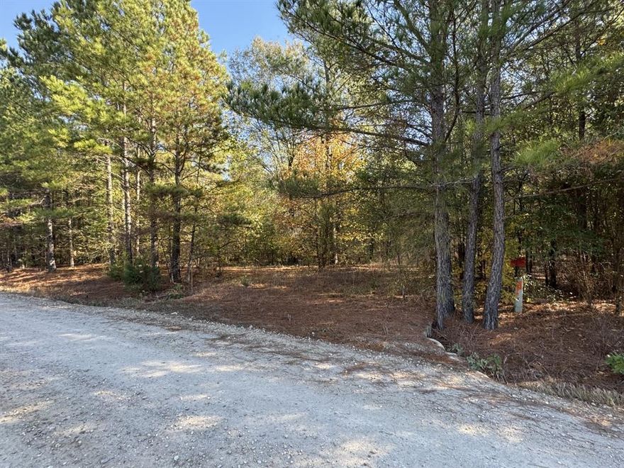 Discover an exceptional opportunity to own two separate building lots, sold together, located just 17 miles north of Clarksville, TX. These spacious lots are perfect for your dream home or weekend retreat, offering abundant natural beauty with a landscape filled with pine trees. Conveniently situated on the way to Broken Bow, Oklahoma, they provide easy access to outdoor recreational activities and scenic views. With no restrictions, you have the freedom to build according to your preferences. Whether you're seeking a private getaway or a place to settle down, these lots offer a prime location and limitless potential. Well and electricity on site, the water well has a 6 inch casing and is 55 feet deep with 20 foot column of water. The electric service is underground with a transformer going to a 200 amp circuit breaker panel with 2- 30 amp RV receptacles.