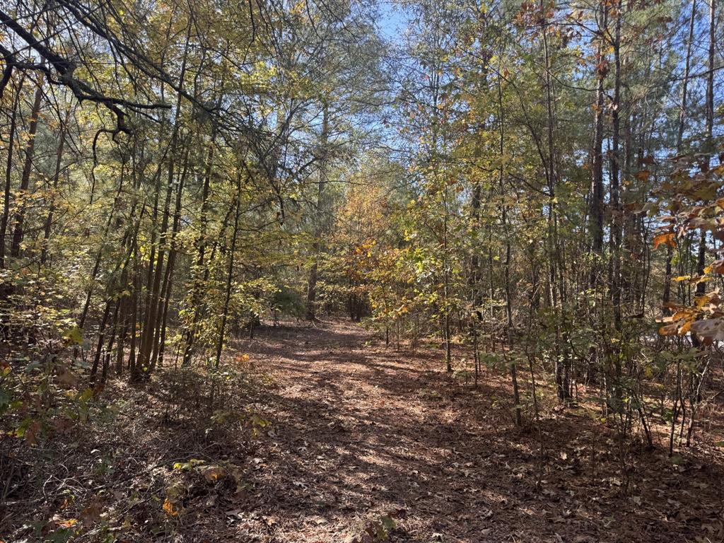 A0195 CANADAY, HENRY M - Land