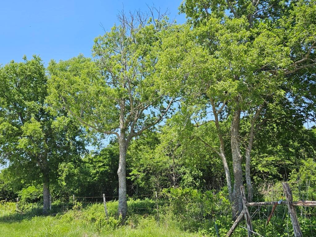 J MOORE A-626 - Land